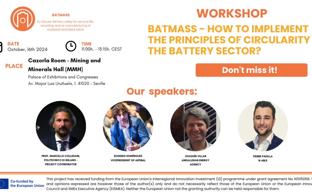 Workshop ‘BATMASS – How to implement circularity principles in the battery sector’